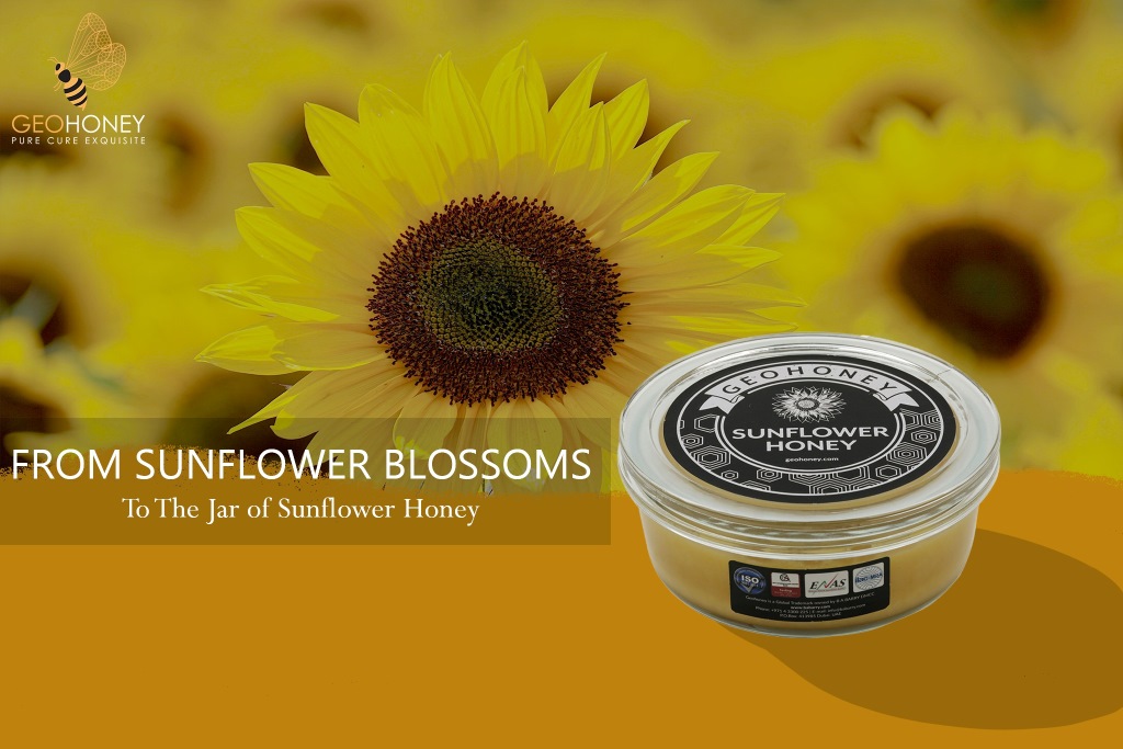 Sunflower Honey Delight: Exploring Unique Floral Notes and Environmental Impact